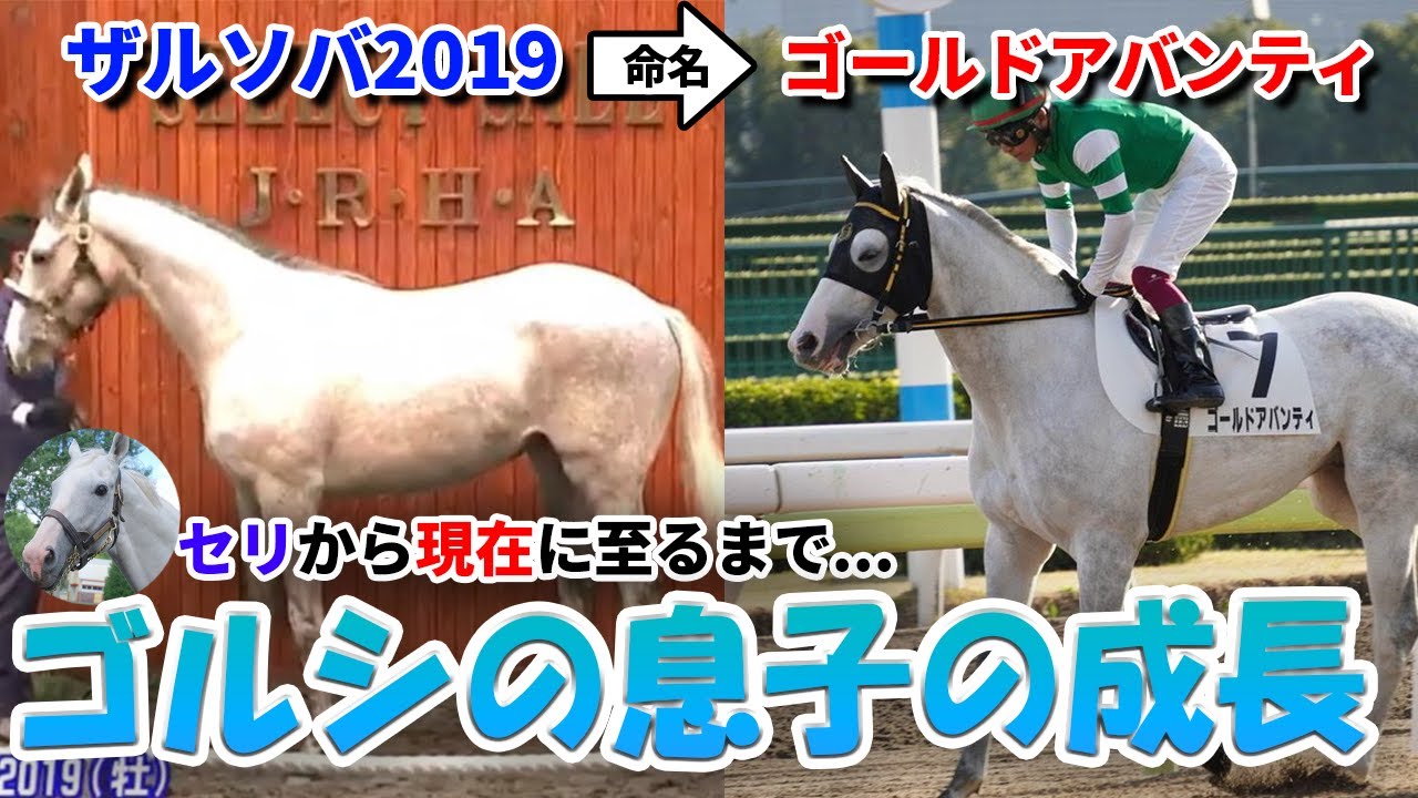 ゴールドシップの息子ゴールドアバンティの購入秘話！これまでを振り返ります。