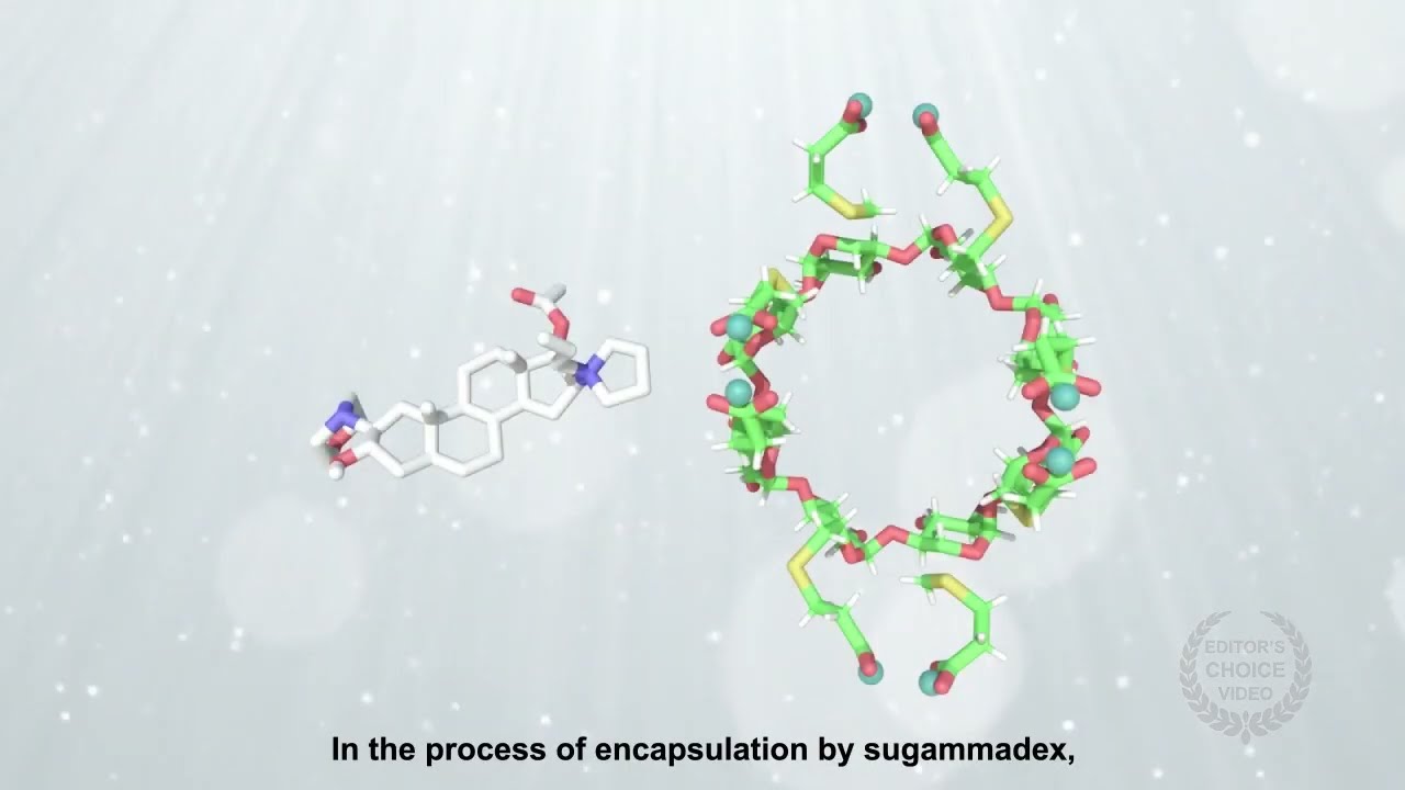 Encapsulation dynamic of neuromuscular blocking drugs by sugammadex