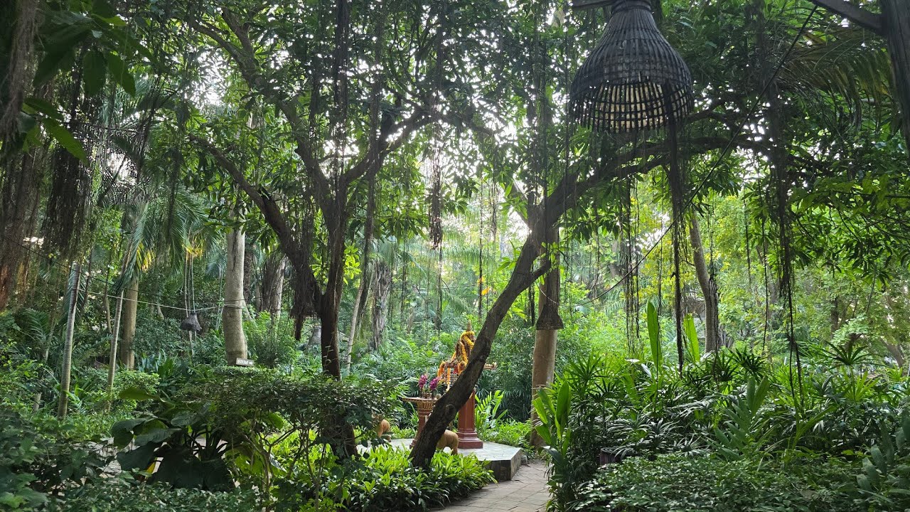 Birds & Bees Resort, Pattaya Thailand - a quick look at the property