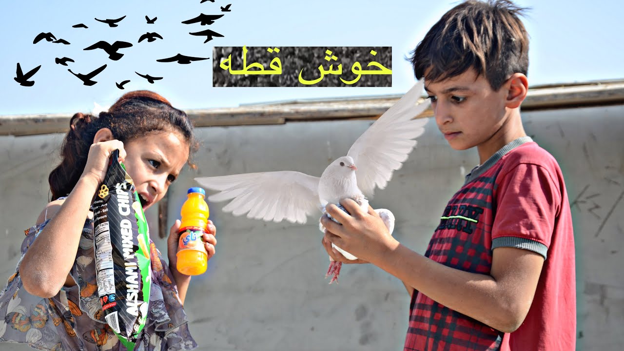 تحشيش المطيرجي جومانه باعت الطيور هههه جزء الاول