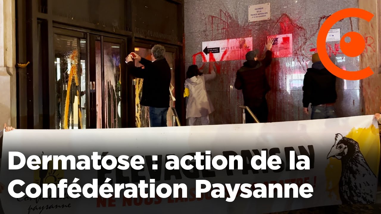 Dermatose : le b&acirc;timent de la DGAL cibl&eacute; par la Conf&eacute;d&eacute;ration Paysanne apr&egrave;s l'abattage de 83 vaches