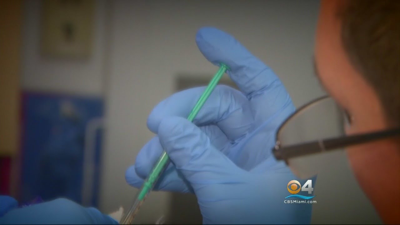 Doctors Use Botox To Combat Sweaty Scalp