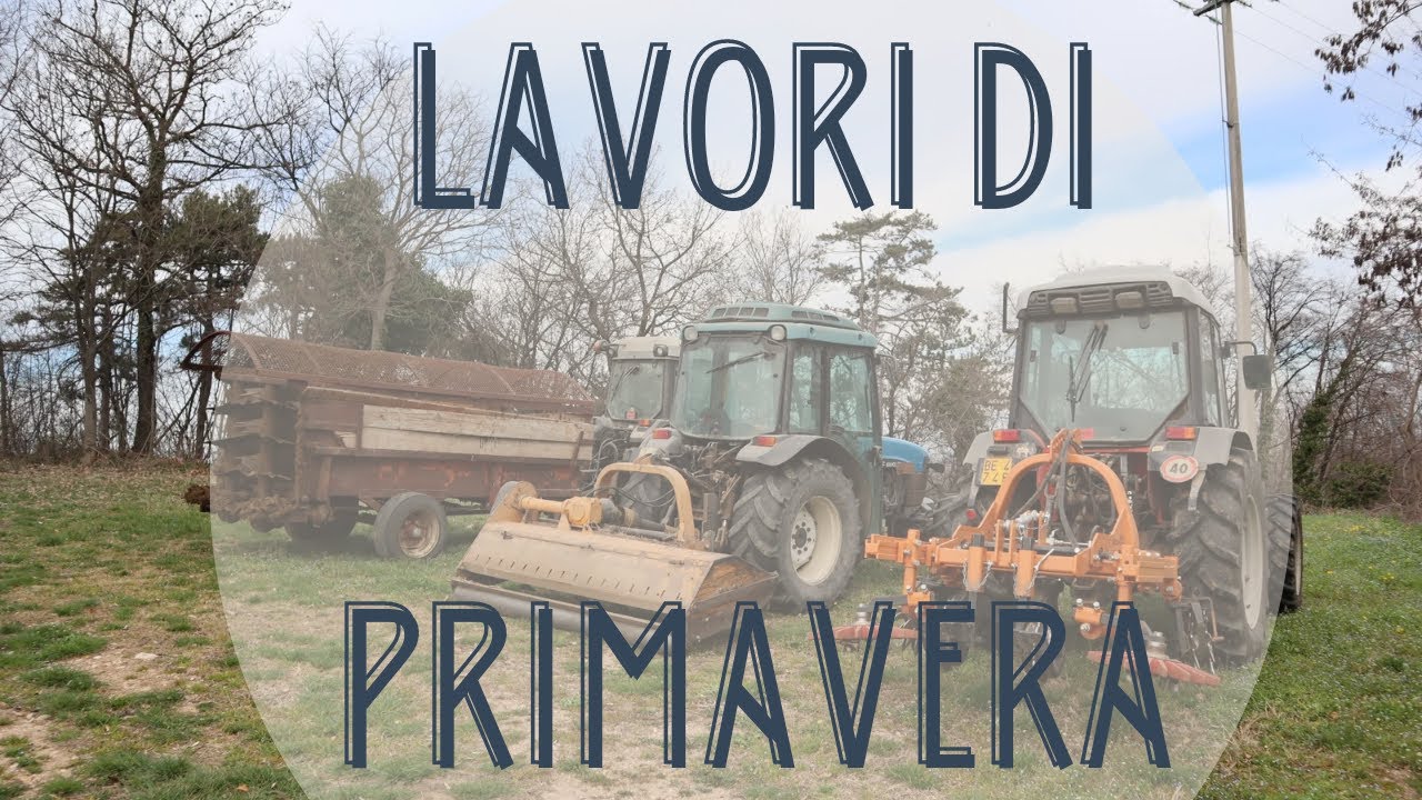 3 LAVORAZIONI PRIMAVERILI che facciamo in VIGNA 🚜