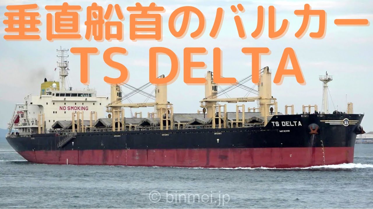 TS DELTA - DALIAN TIGER SHIPPING LIMITED, bulk/lumber carrier