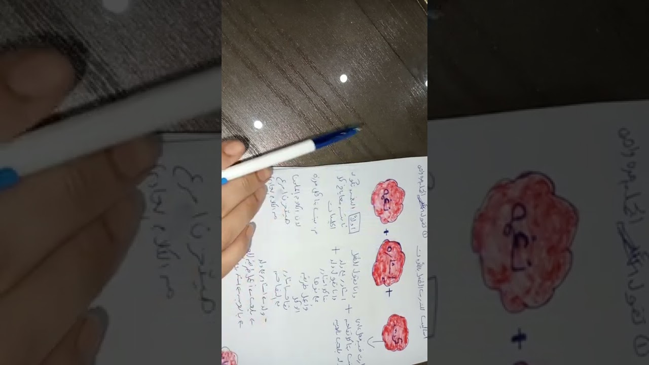 تخاطب 4التدريب على جمله من ثلاث كلمات اللغه التعبيريه
