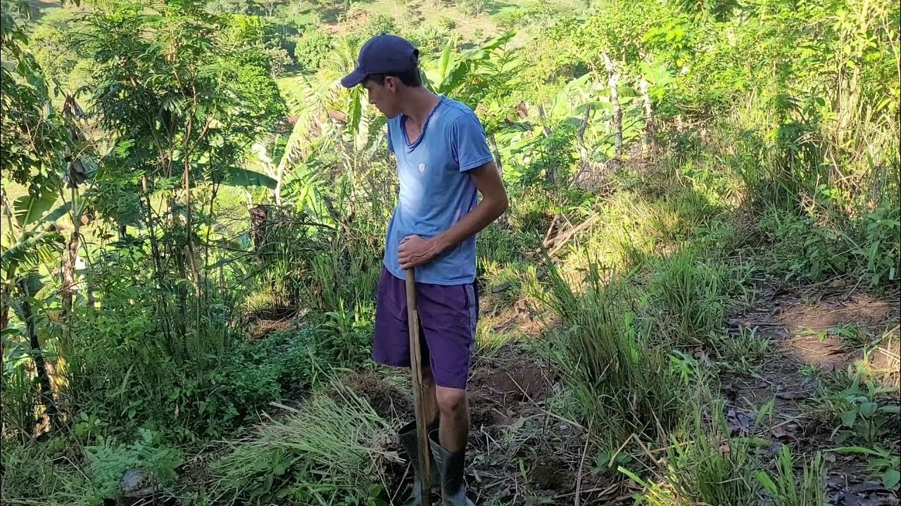 COMEÇANDO A TRABALHAR NO NOVO TERRENO 