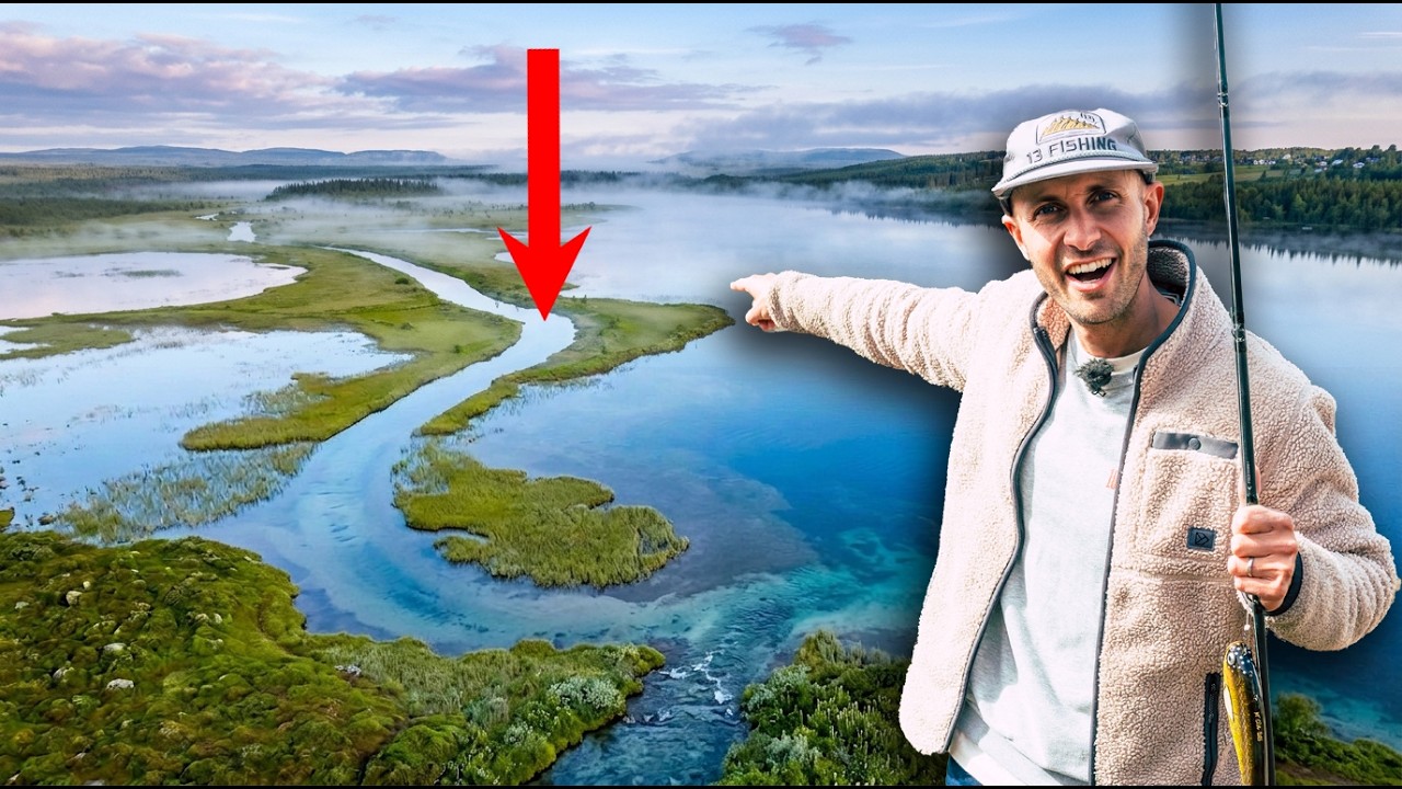 Vi gick ALL IN i Norrlands Skogar - Fj&auml;llg&auml;ddor och artt&auml;vling