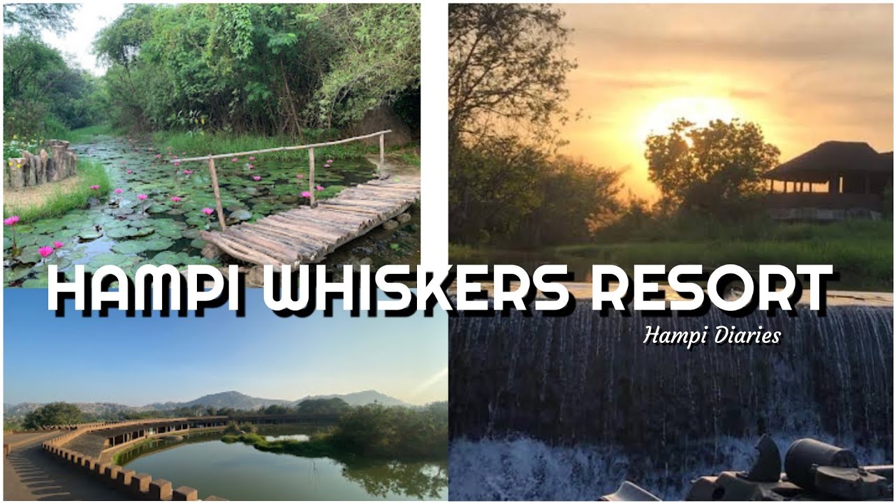 HAMPI WHISKERS RESORT EP6  #hampi #hampidiaries #travel #travelvlog #resort