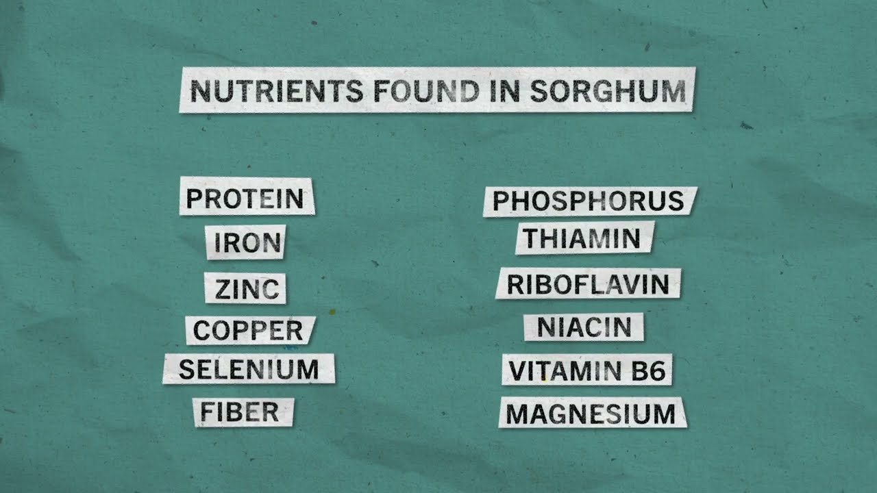 Sorghum at School