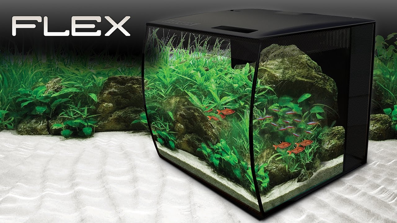 Fluval Flex 9 и 15 галлонов США для аквариума