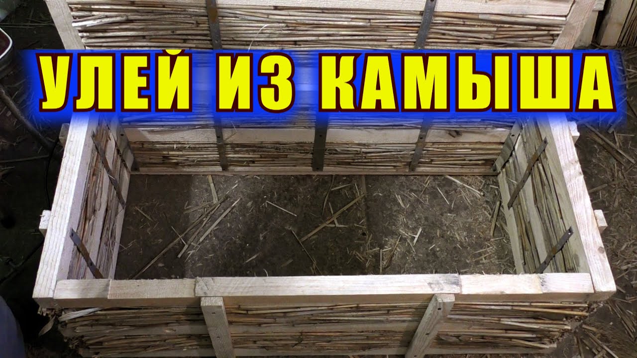 ВУЛИК З ОЧЕРЕТУ. УЛЕЙ ИЗ КАМЫША. REED HIVE.