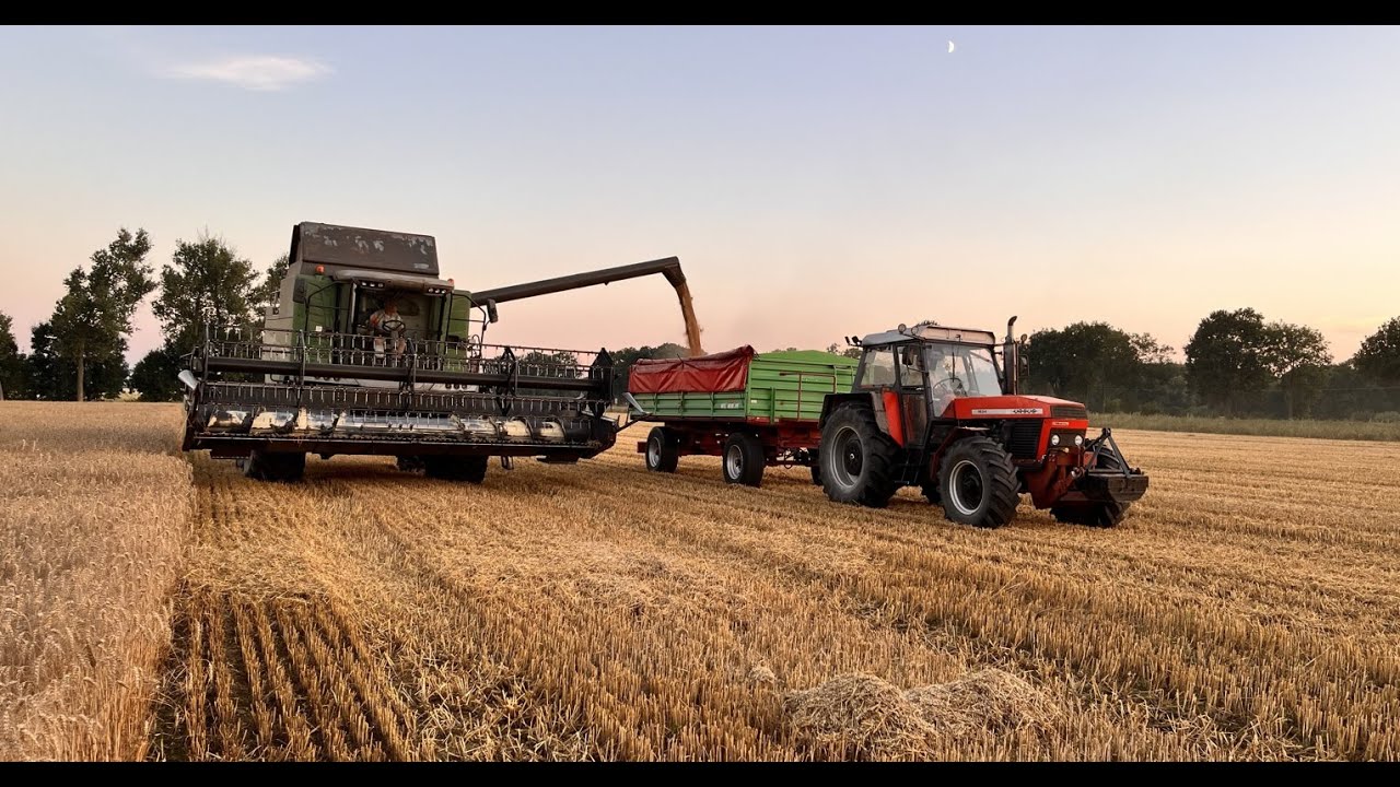 Żniwa Pszenicy FENDT 6275L & Ursus 1634