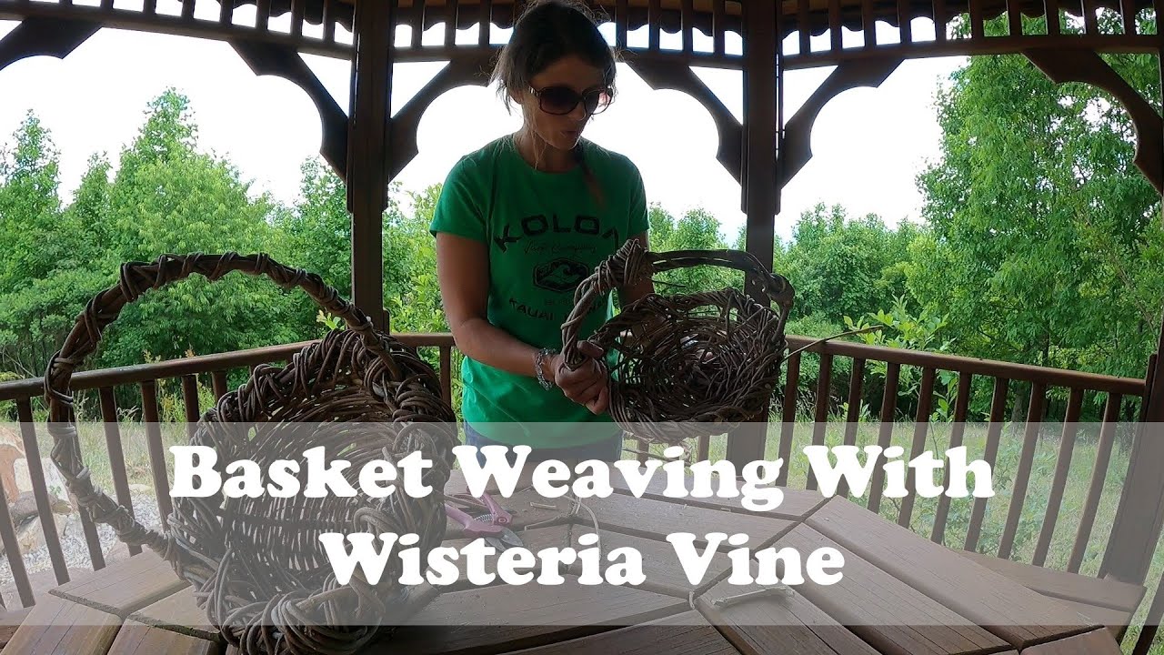 Basket Weaving with Wisteria Vine | In Depth Start to Finish