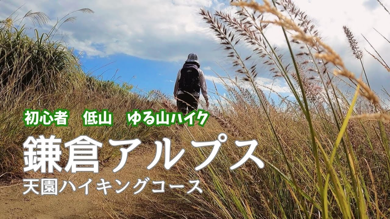 【神奈川】鎌倉アルプス 　初心者が行く冬の低山