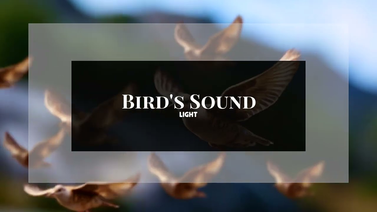 Bird Sound/Chirping [Light] - No Copyright | Infinite - Available Download | WR Sound Library