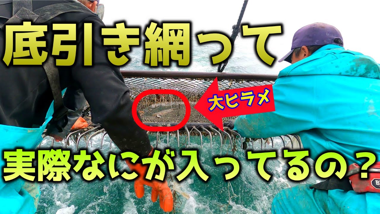 【特別企画】気になる網の中には何がいるの？底引き網漁師に密着してみた！