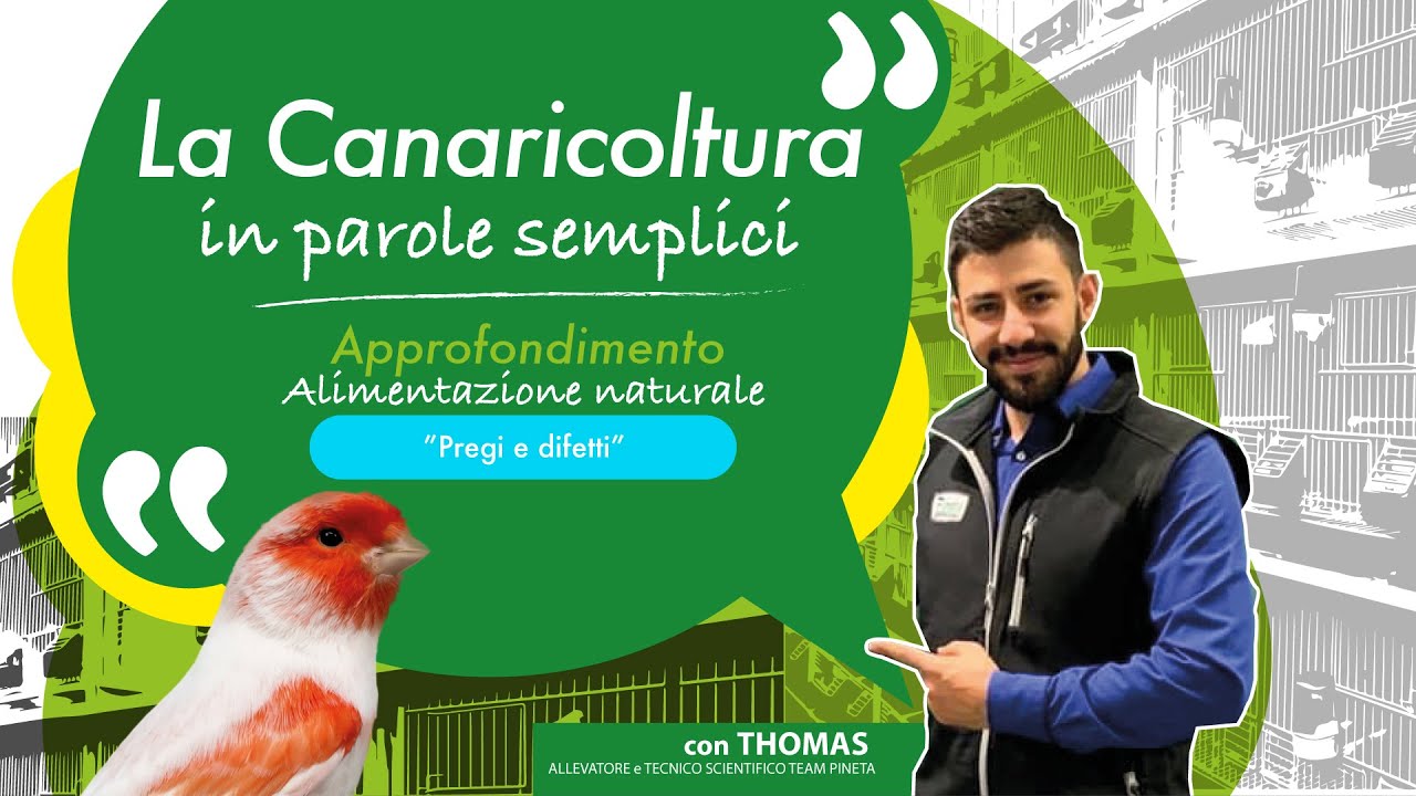 8 - La canaricoltura in parole semplici - ALIMENTAZIONE NATURALE PRO e CONTRO