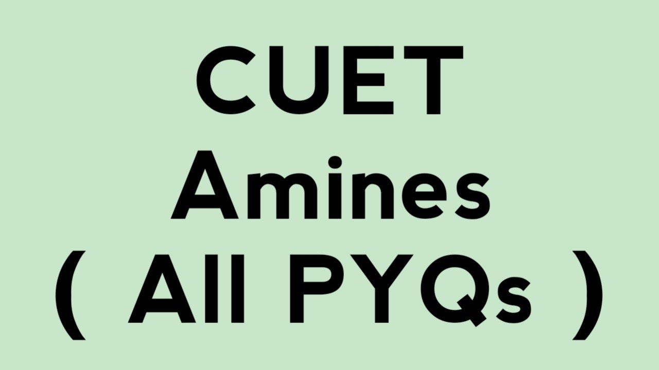 Discussion Of CUET assignment || All PYQs || Chapter - Amines || Class - 12th || CUET CHEMISTRY