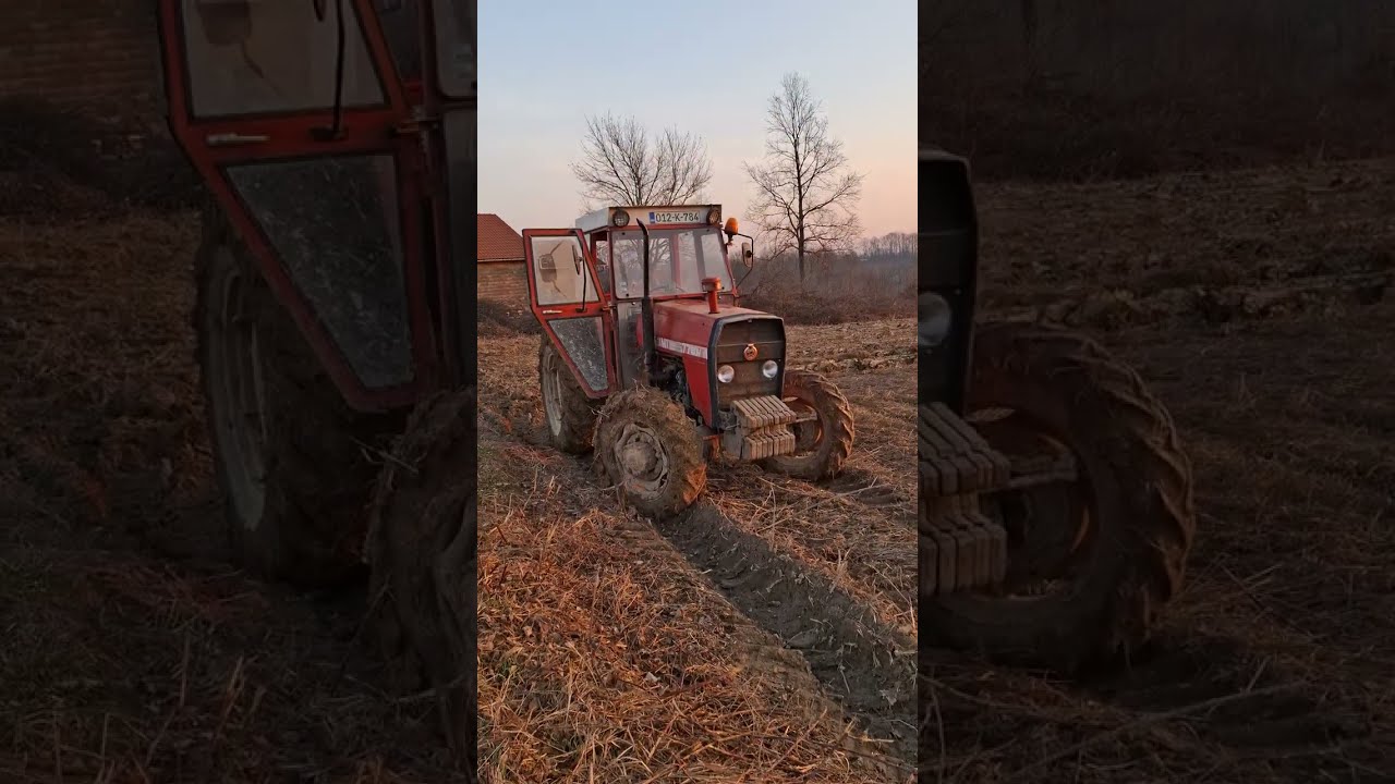 IMT 577 DV u kasnom oranju krčevine 😈