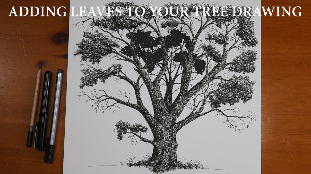 HOW TO DRAW LEAVES SIMPLY | ADDING LEAVES TO MY TREE DRAWING