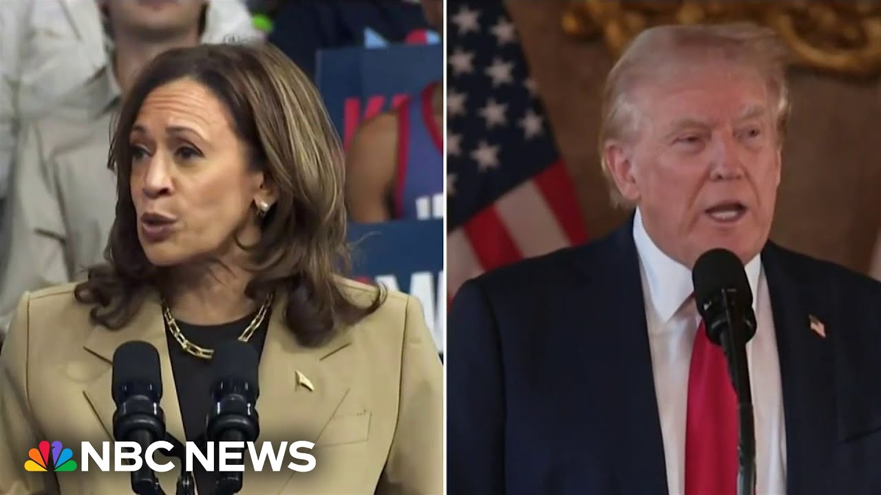 How do Harris and Trump&rsquo;s economic agendas compare?