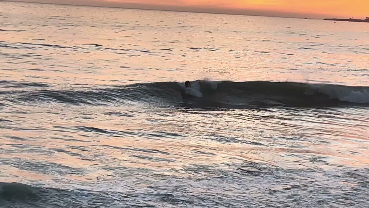 March 14, 2026 What it looks Like at The Beach NorCal Santa Cruz California #socal