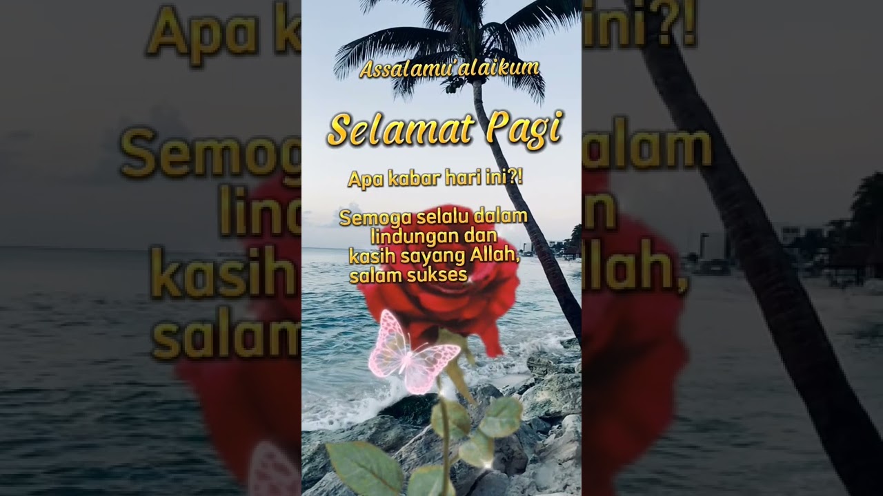 Ucapan Selamat Pagi | Story wa | Status wa #shorts