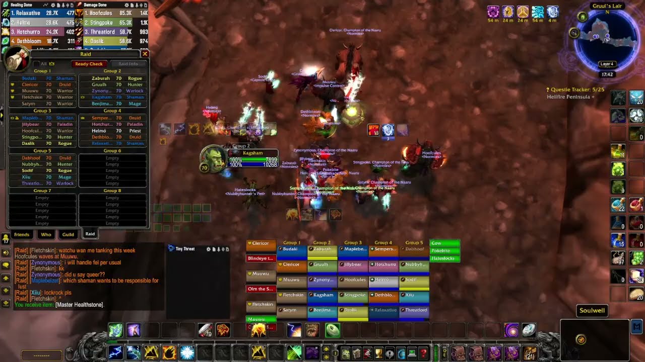WoW TBC Anniversary | Gruul / Mag | Elemental Shaman