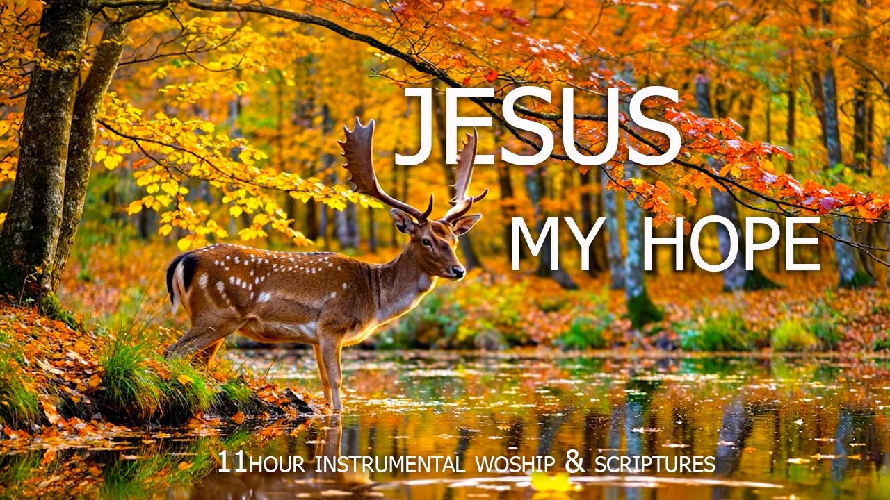 JESUS, MY HOPE | Gentle Thursday Morning Prayer Music with Scriptures & Beautiful Forest Scenes