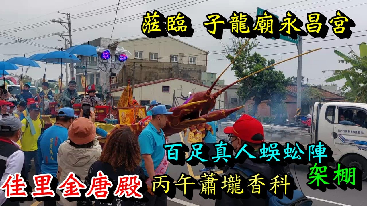 20260305 [蒞臨 子龍廟永昌宮] [百足真人蜈蚣陣 架棚] 佳里金唐殿丙午蕭壠香科