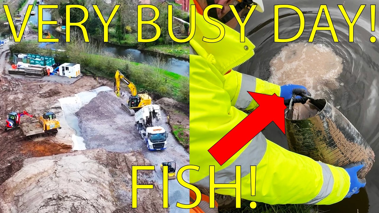 Whitchurch Canal Breach Update, New Drain, Deliveries & Mini Fish Rescue! With Commentary (16thMar)