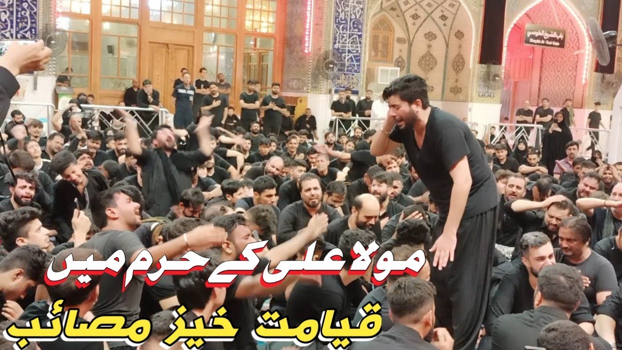 aj rukhsat ho rahi hai // mir hasan mir // imam Ali holy shrine najaf ashraf #mirhasanmir #najaf