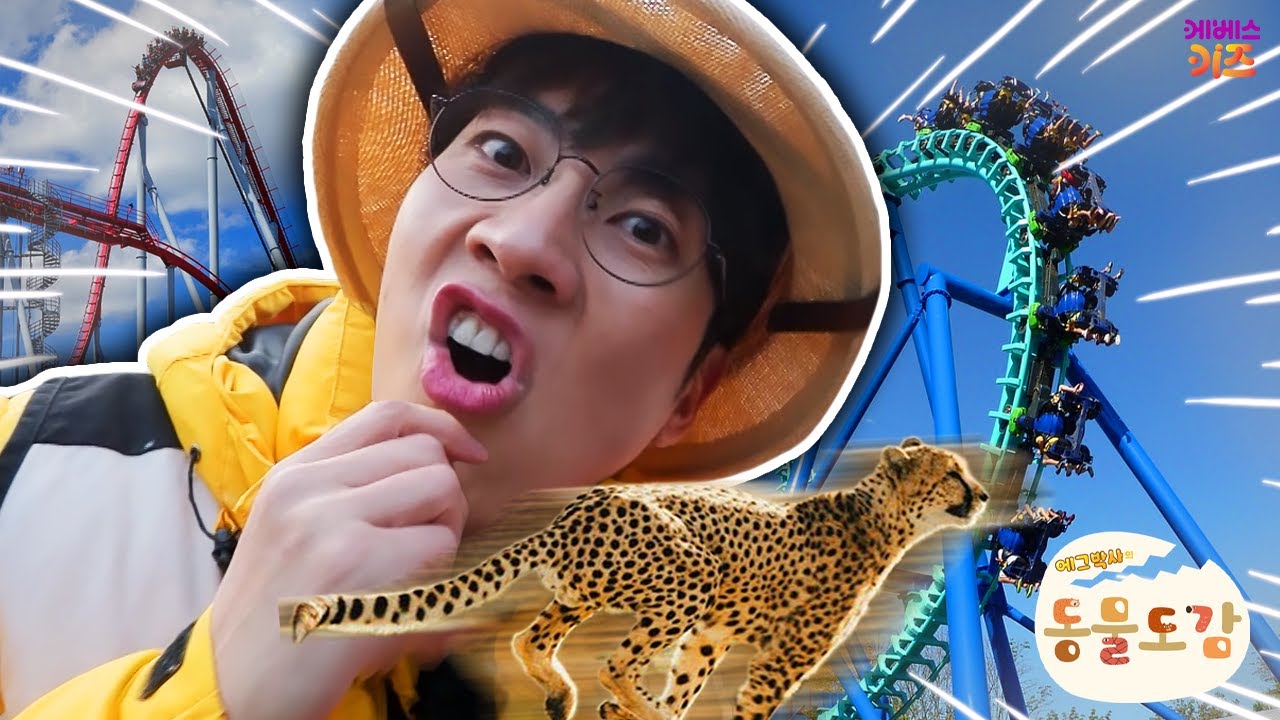놀이기구를 닮은 동물을 찾아라!ㅣ에버랜드ㅣ에그박사의 동물 도감ㅣKBS 250218 방송