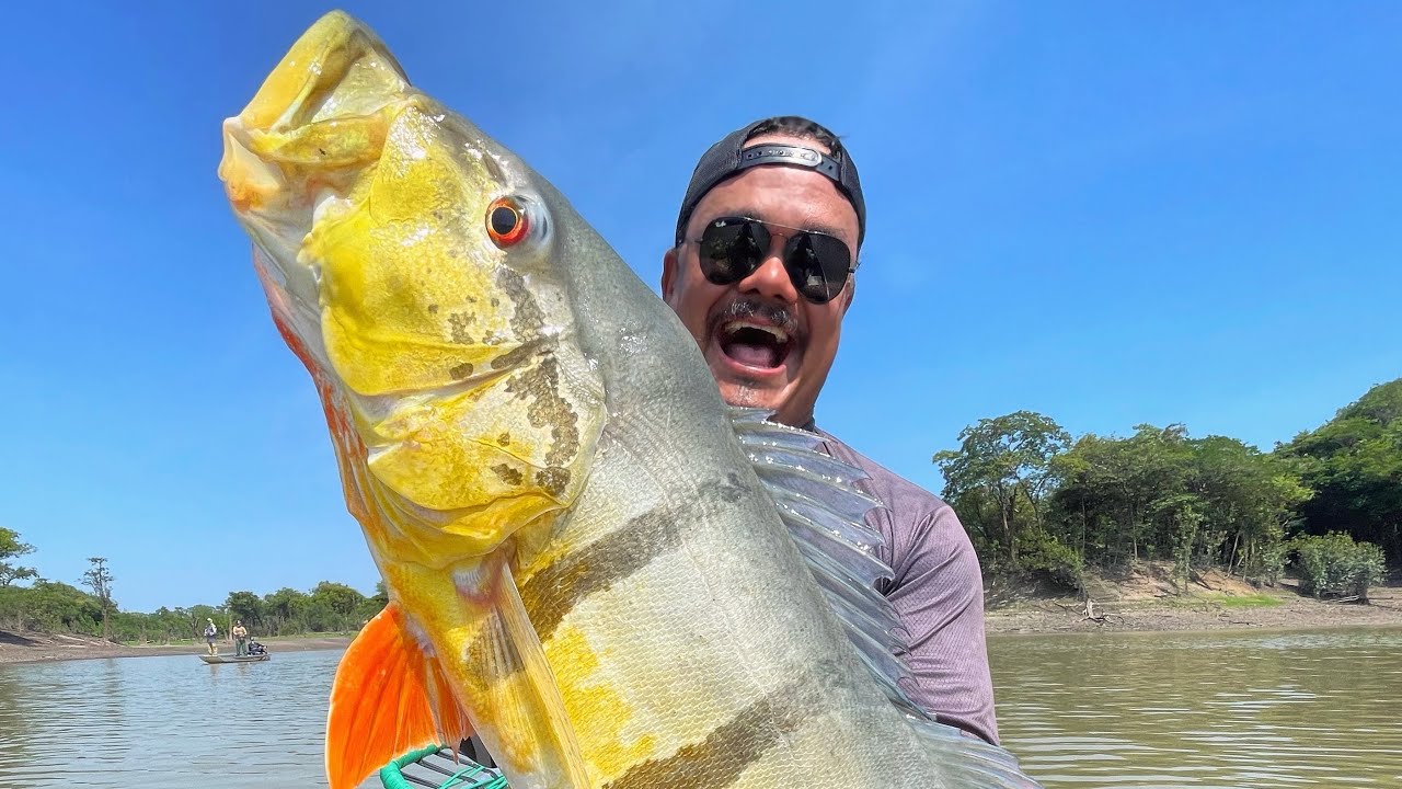 Rio dos GIGANTES, AMAZÔNIA e seus MONSTROS!!!