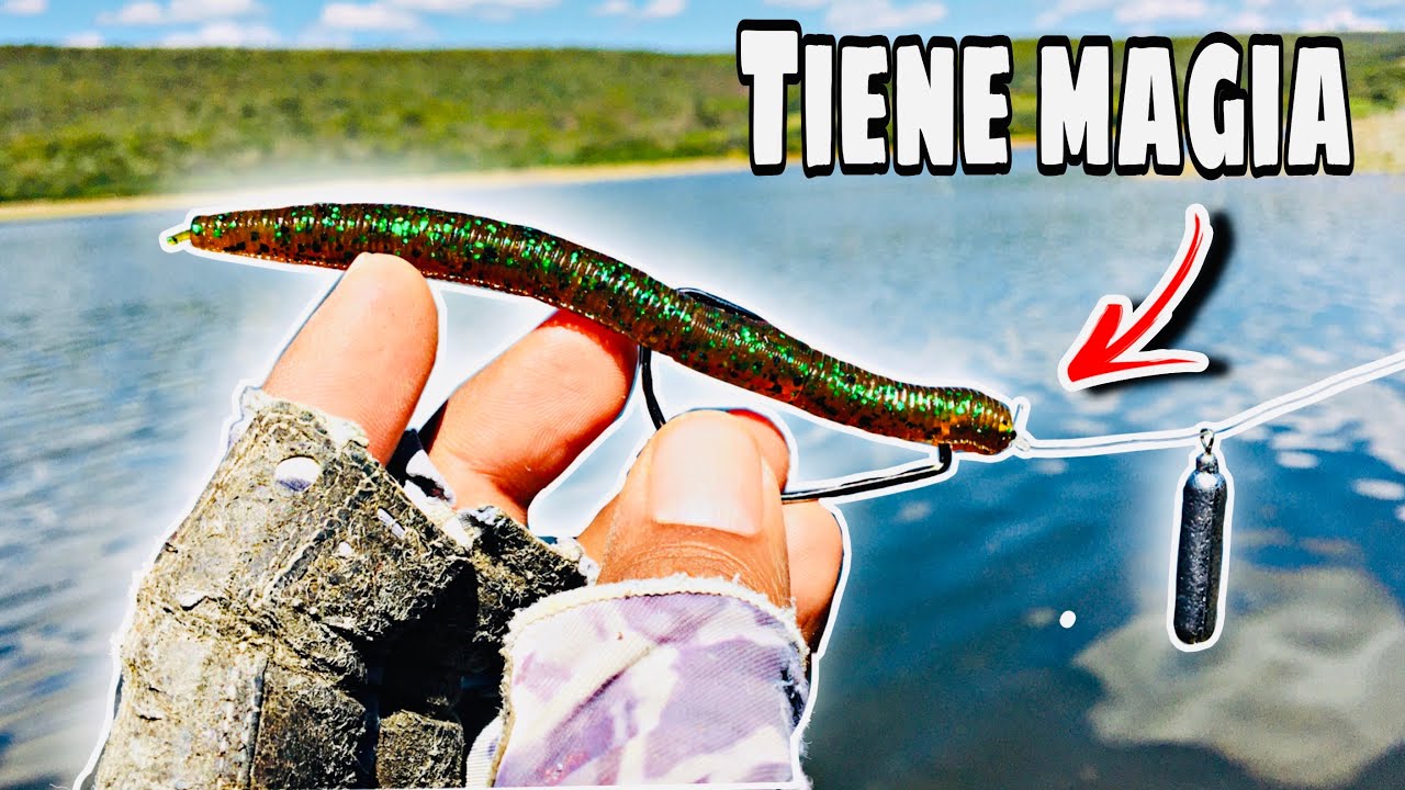 El Mejor ARREGLO para Pescar de Orilla | Senko | Cómo trabajar arreglos de pesca?