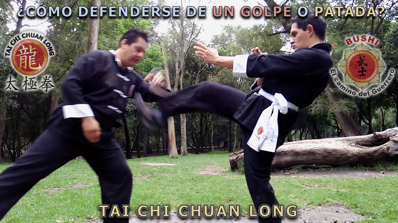 ¿Cómo Defenderse de un Golpe o Patada?