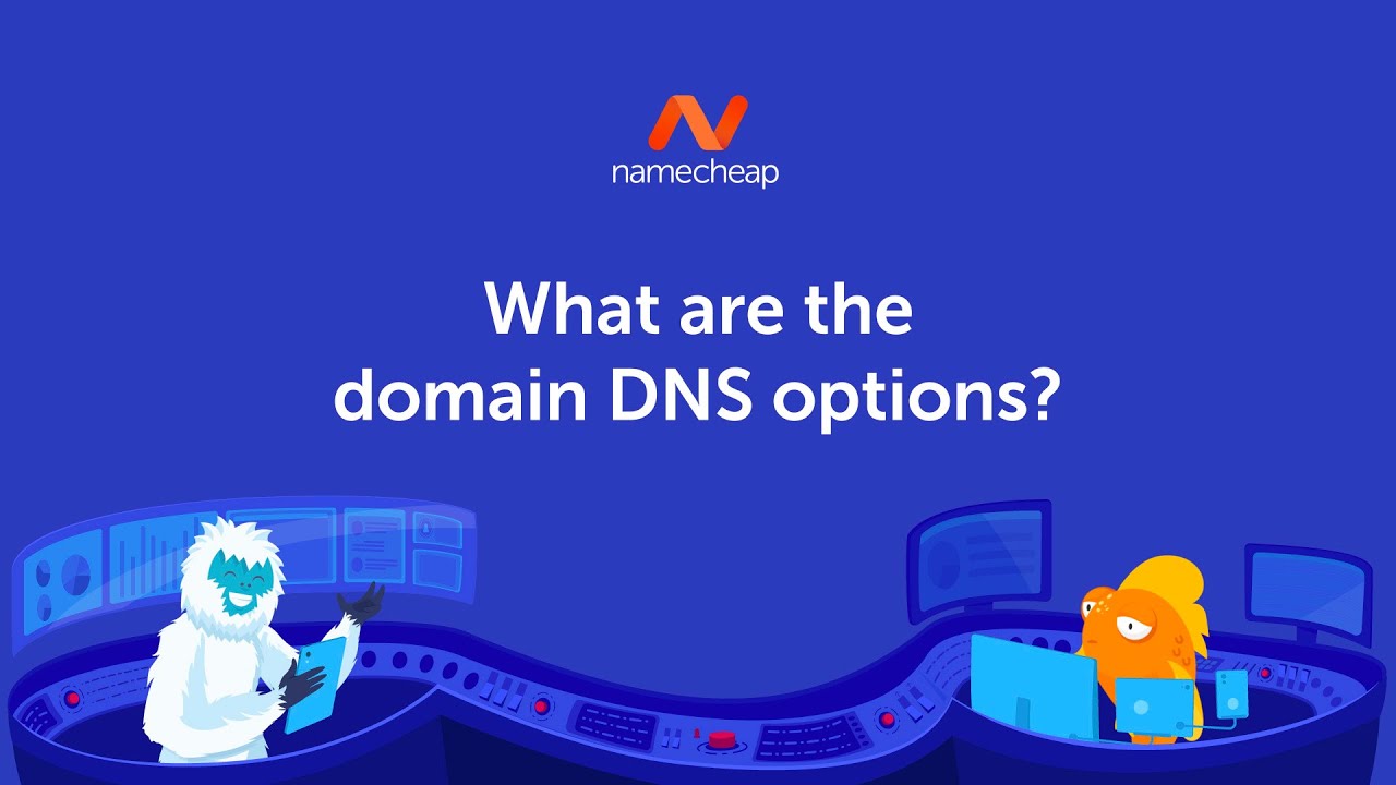 What are the domain DNS options?