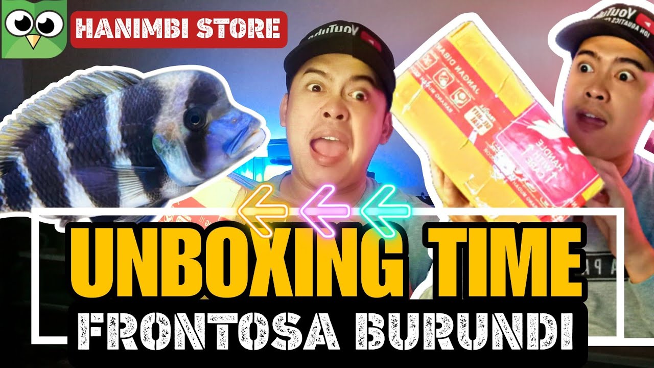 UNBOXING CICHLID FRONTOSA BURUNDI‼️#cichlidfish #frontosa