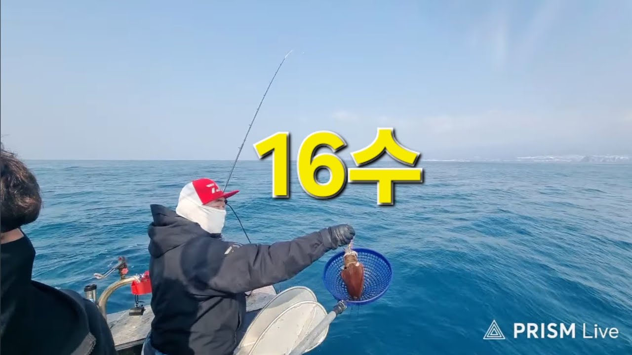 제주 갑오징어낚시 장박 10일차 달립니다 #낚시 #갑오징어낚시