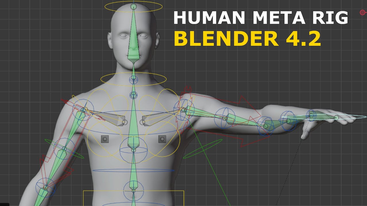 Учебник: Human Meta Rig | НОВАЯ сборка Blender 4.2