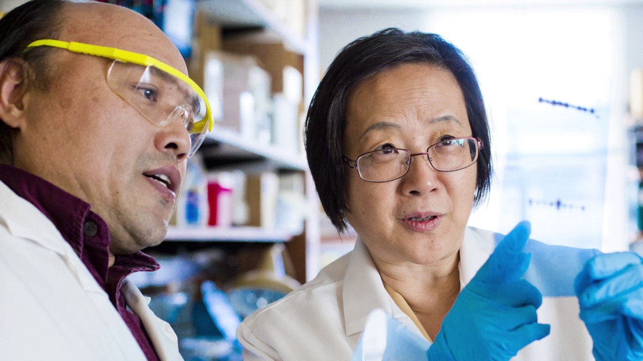 Winship Cancer Institute 2016 Year in Review
