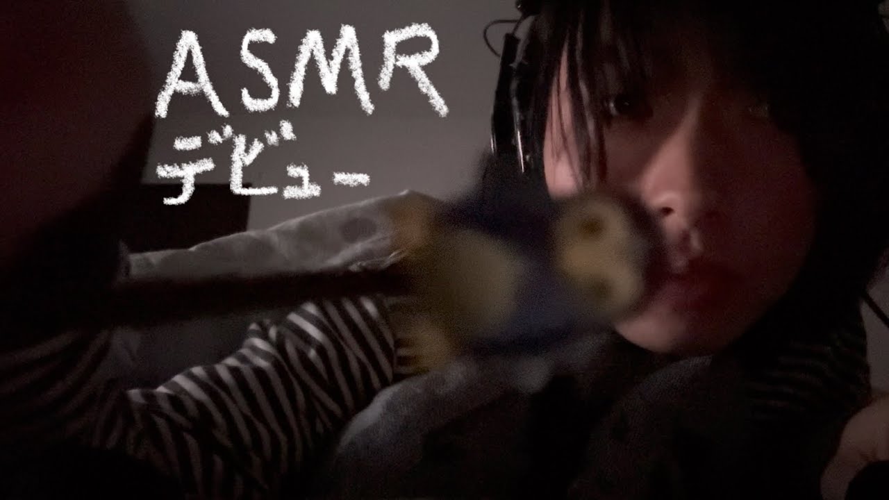 【ASMR】 ペンギンさん耳かき