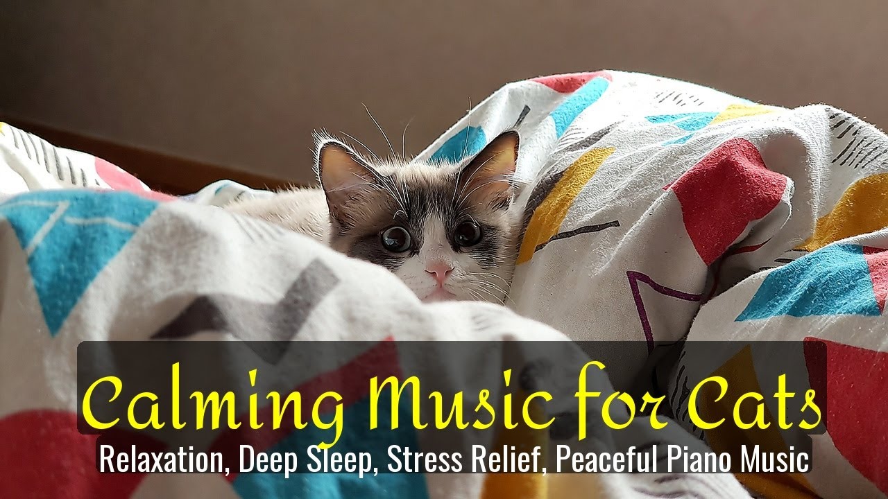 Calming Music for Cats - Relaxation, Deep Sleep, Stress Relief, Peaceful Piano Music | Season 67