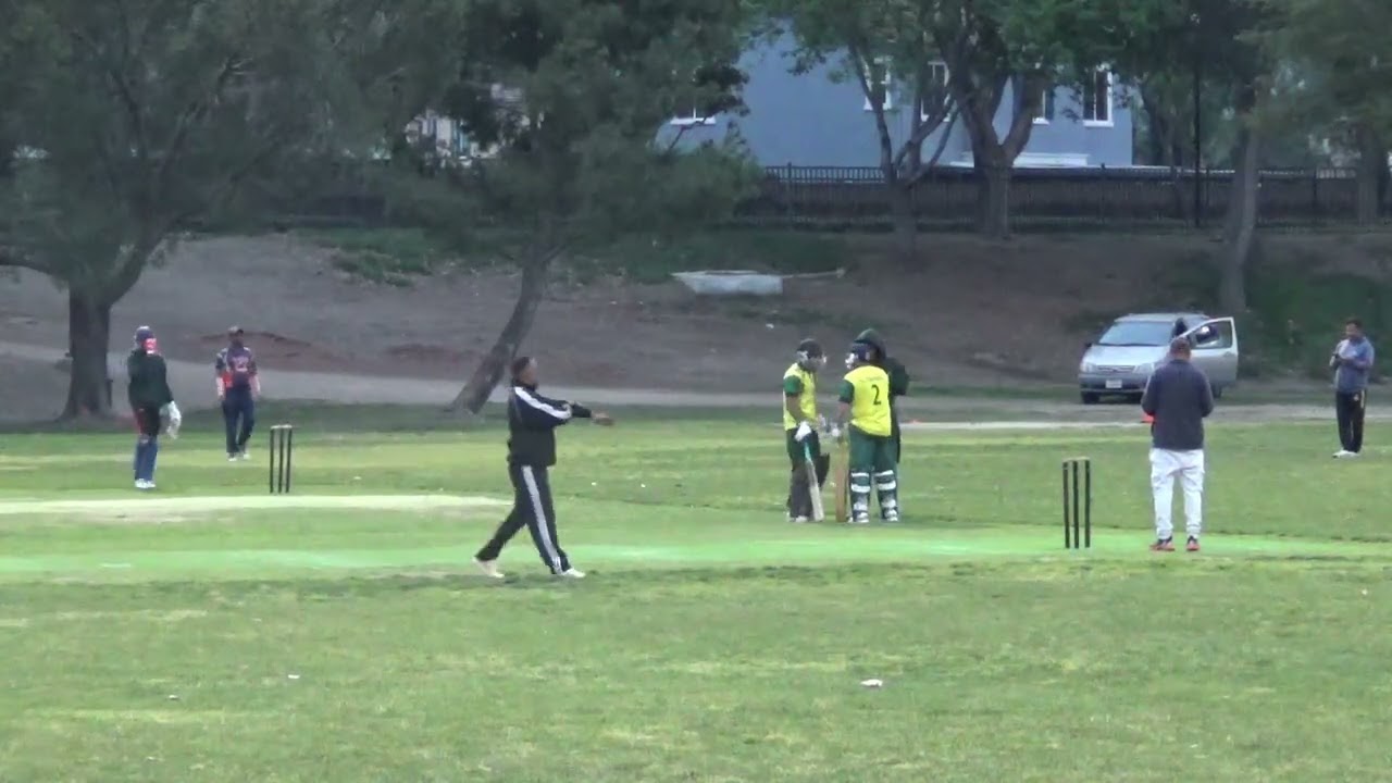 Shaheens vs Silverbacks T20 (2)