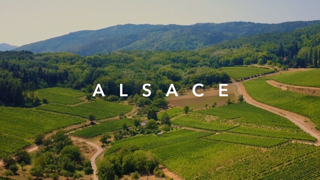 ALSACE, FRANCE // Travel Film