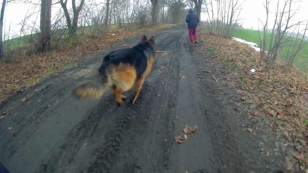 Tania Kamera sportowa Xblitz Move 4K plus, TEST Polne Ścieżki