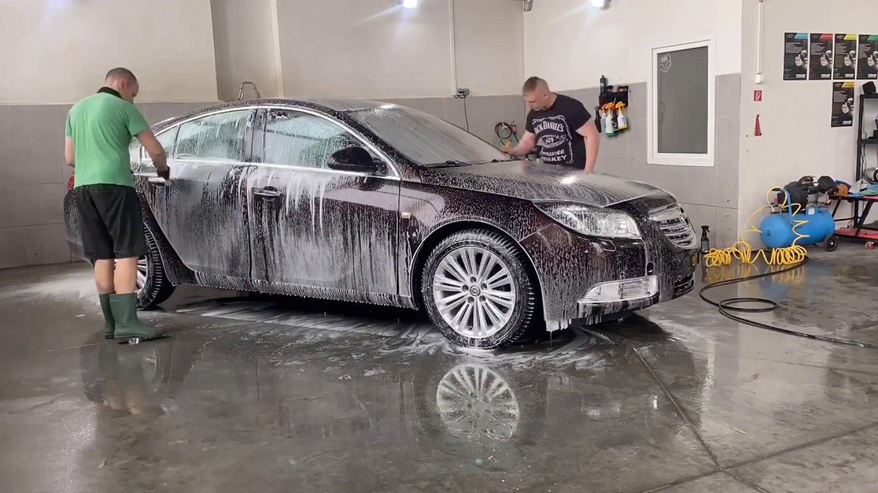 Insignia paint correction and interior deep clean