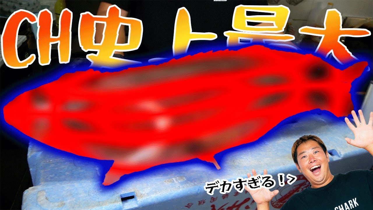 史上最大サイズの高級魚を手に入れたので、解体して料理して食べる！