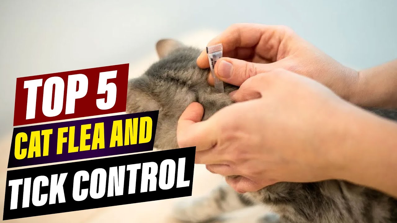Best Flea and Tick Treatments for Cats: Reviews and Buying Guide