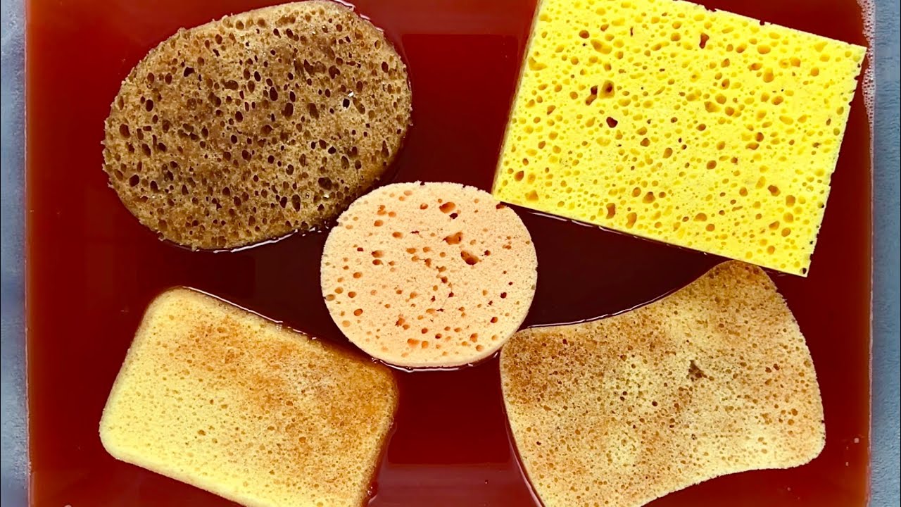 LUNDMARK PINE FRESH 🌲 STRONG PINE MILK 💦 ASMR SPONGE SQUEEZE 🧽